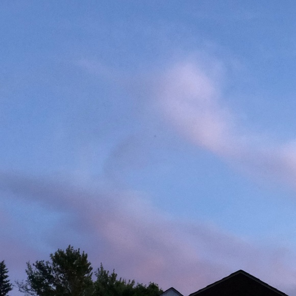 Meet your Posher, Arianna - Picture 1 of 1